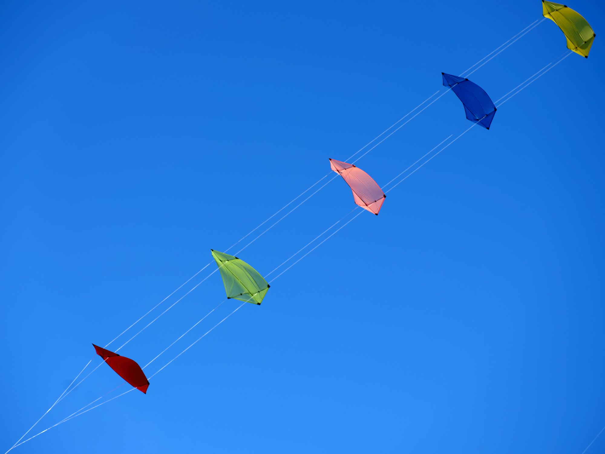 Cometas volando a distintas alturas contra un cielo azul profundo